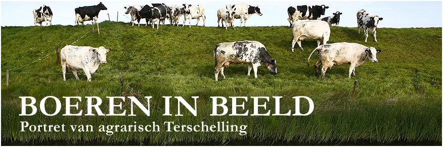 BOEREN IN BEELD - Portret van agrarisch Terschelling